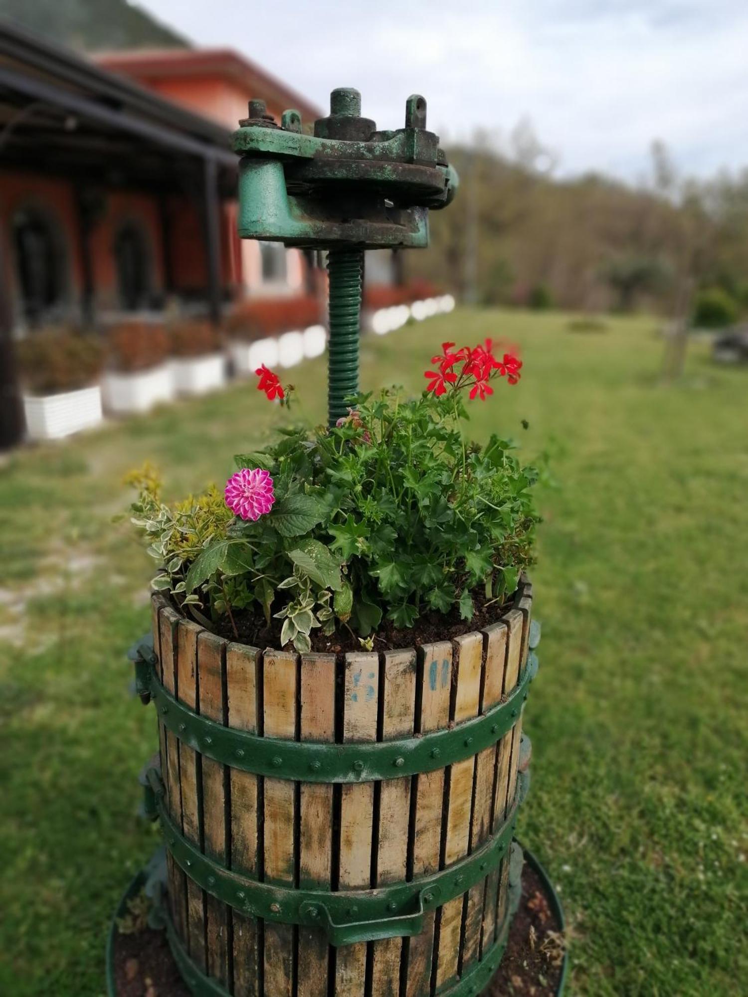 Salisù Country House Mignano Monte Lungo Esterno foto